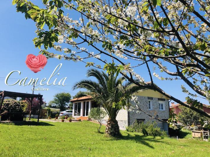 CAMELIA Casina Rural Albuerne Exterior foto
